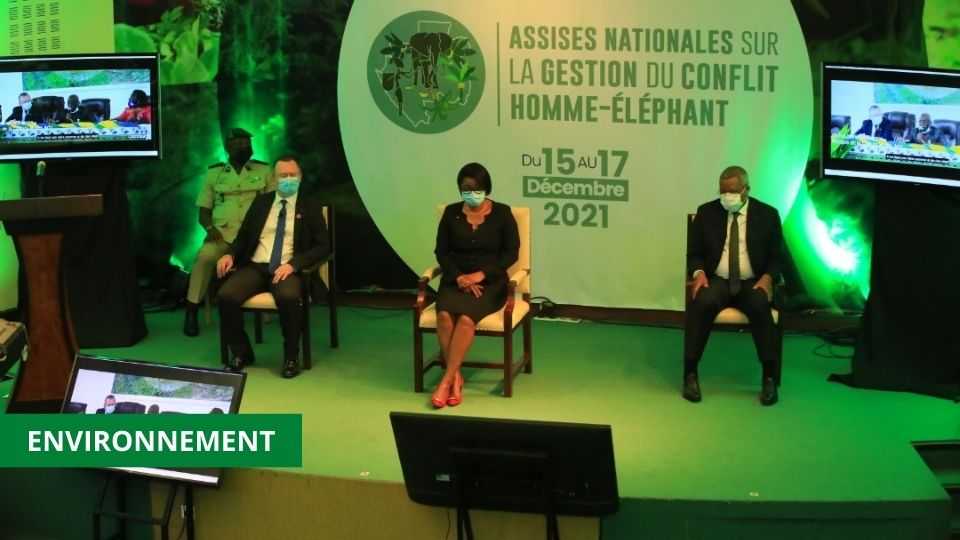 Medias241.com-GABON-LANCEMENT DES TRAVAUX DES ASSISES DU CONFLIT « HOMME-ELEPHANT »