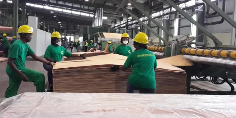 Medias241.com-GABON-CEMAC: le Gabon leader de la transformation de bois dans la sous région.