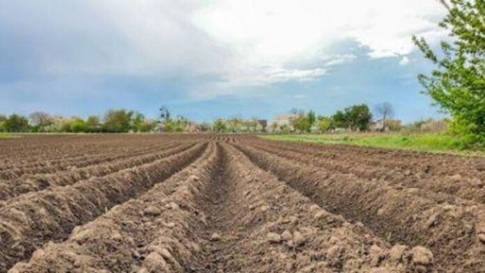 Medias241.com-GABON-Journée mondiale des sols : le sol gabonais est-il suffisamment protégé ?