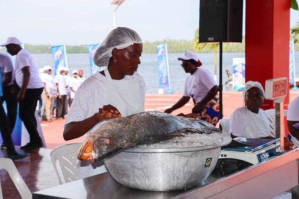 Medias241.com-GABON-centre de pêche de Mayumba : un dispositif pour améliorer les conditions de travail des vendeuses de poissons